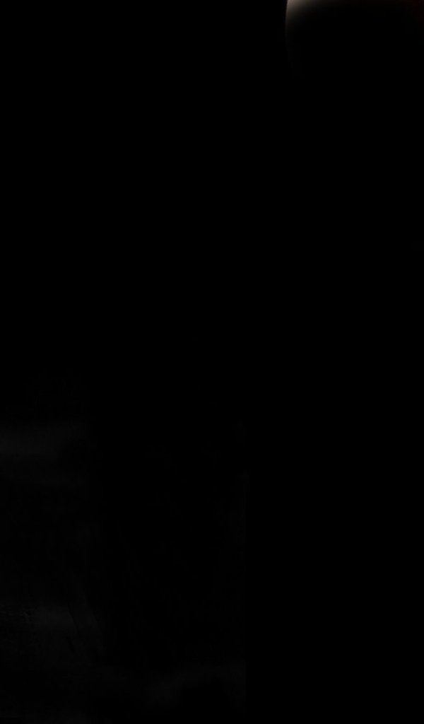 Девушка смотрит на котенка, черный фон