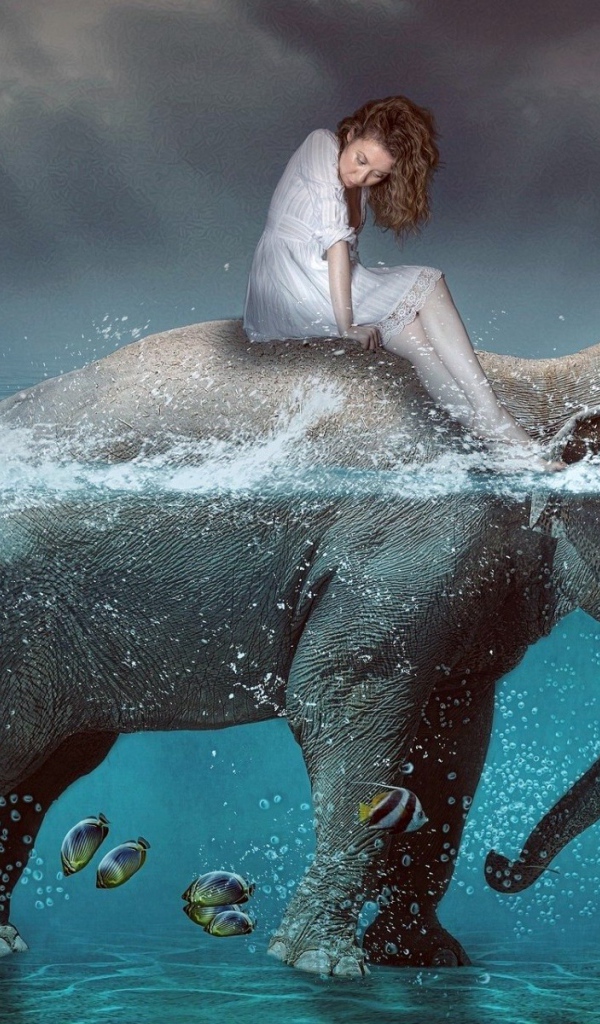 Девушка на спине слона