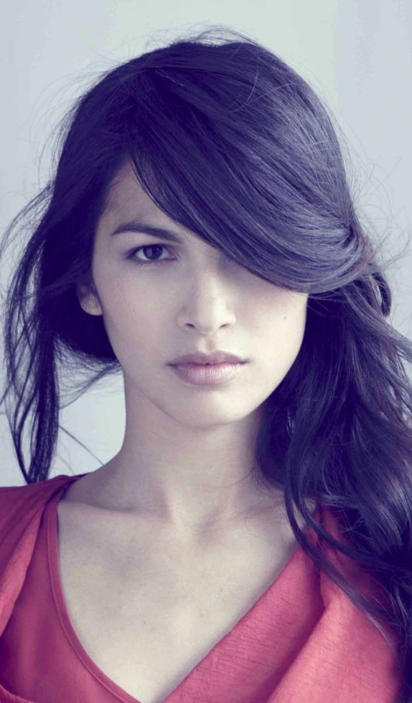 Модель Элоида Янг