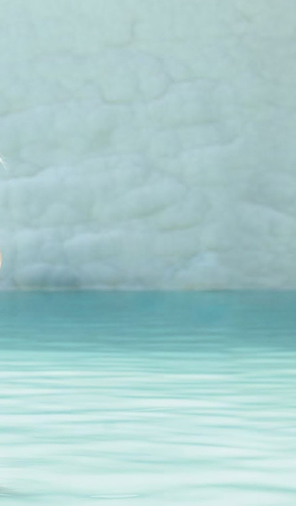 Модель Кэндис Свейнпол в пляжной одежде