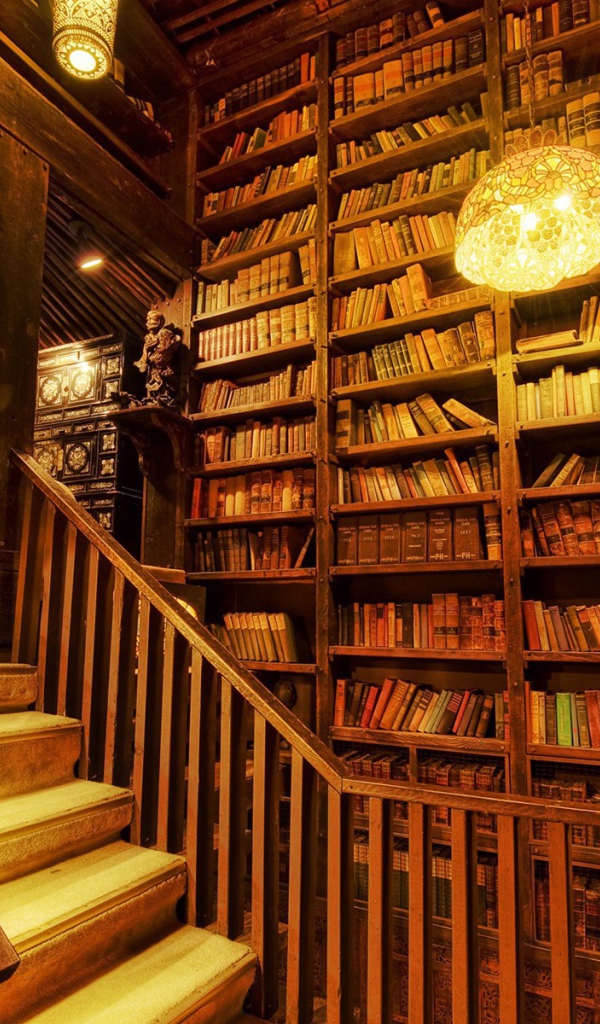 Interior wooden building libraries