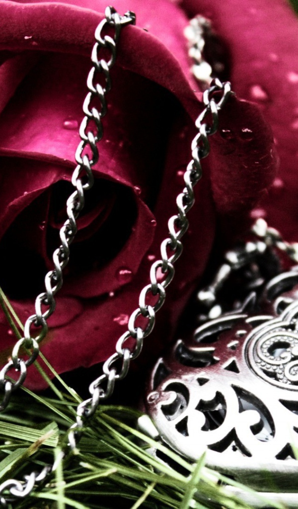 Роза и кулон в форме сердца