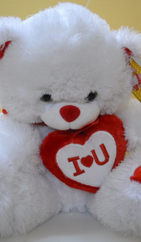 Белый медвежонок с признанием в любви