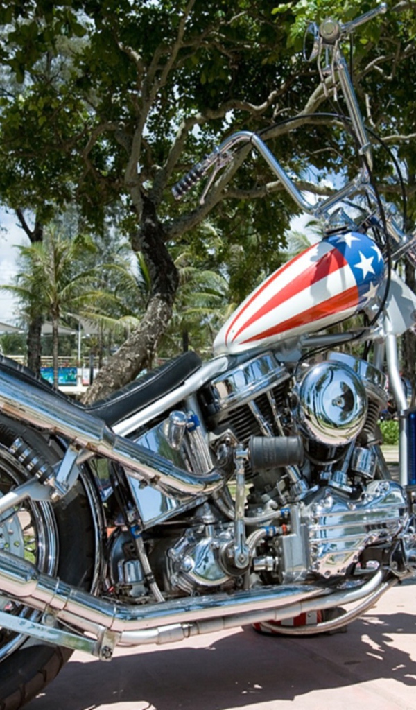 Мотоцикл Harley Davidson с флагом на бензобаке