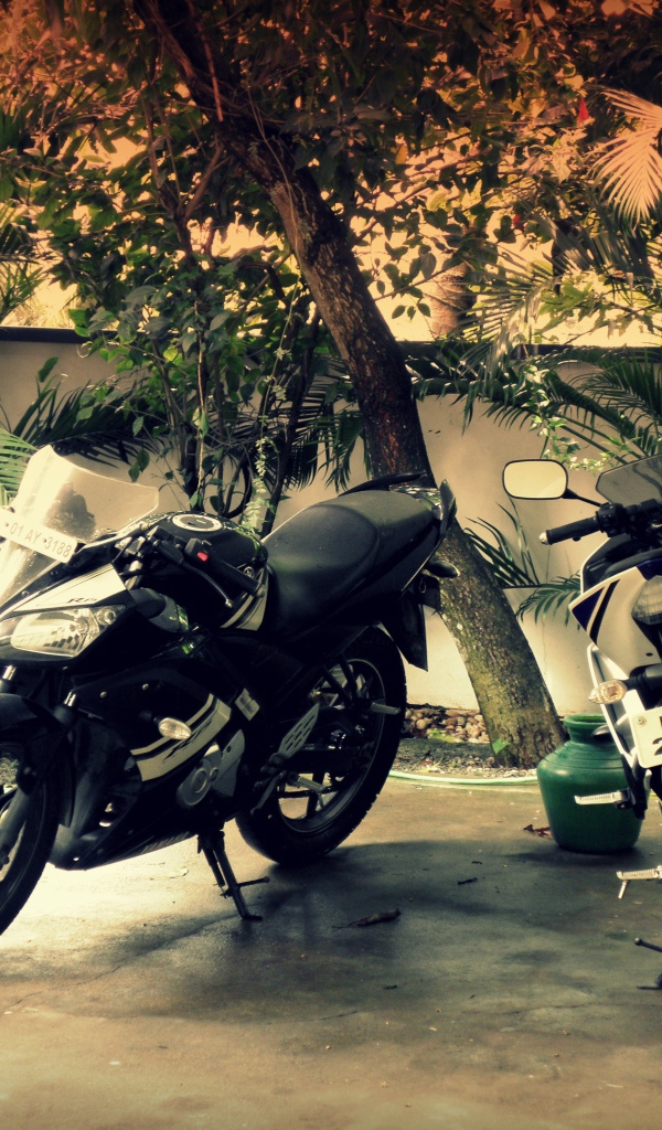 Два мотоцикла во дворе