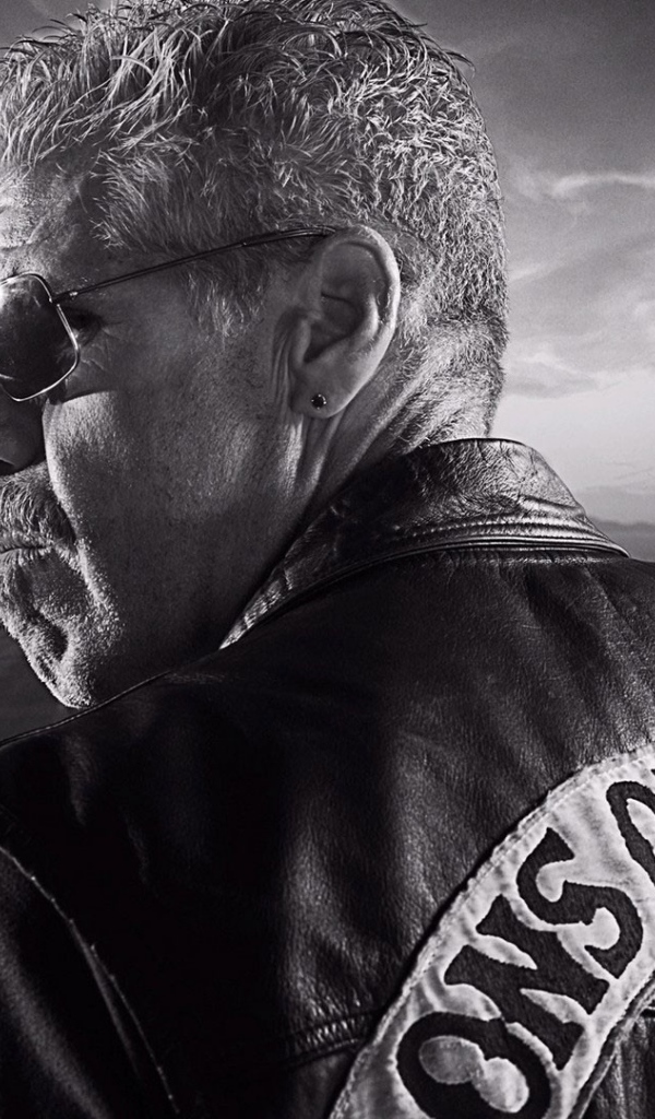 Байкер на дороге, Сыны анархии