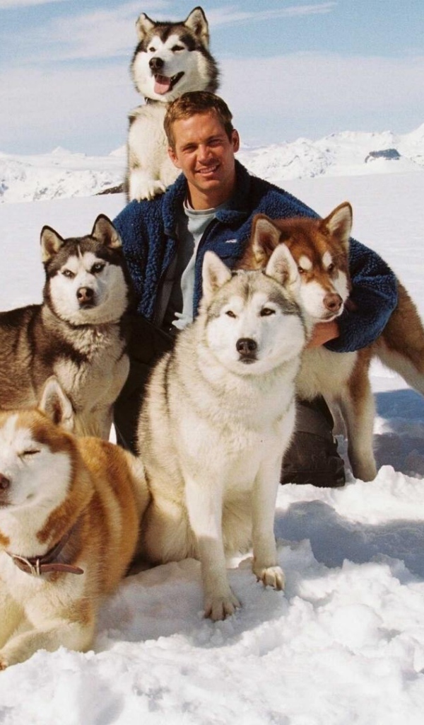 Собаки из фильма Белый плен