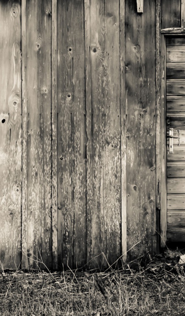 Девушка у деревянного сарая, фильм Звонок