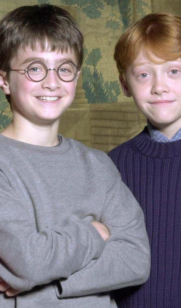 Гарри Поттер и его банда