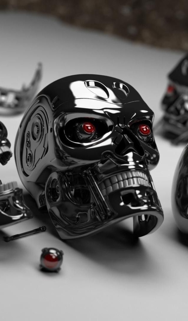 Запасные головы Терминатора