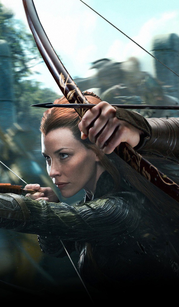 Постер фильма Хоббит Пустошь Смауга