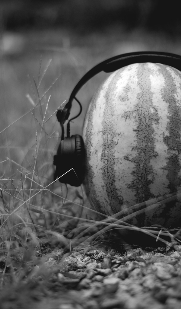 Наушники на арбузе, черно белое фото
