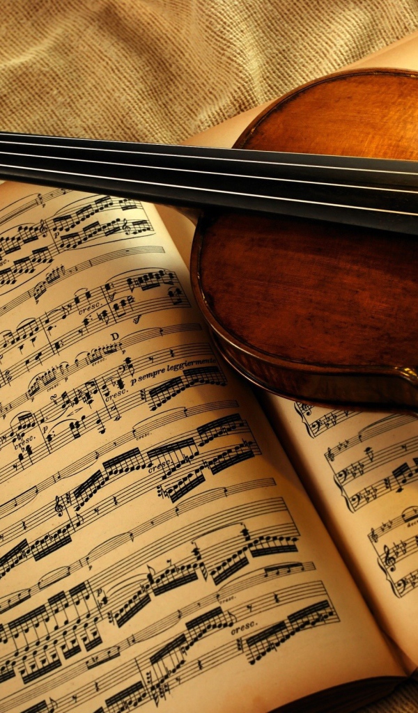 Скрипка на книге с нотами