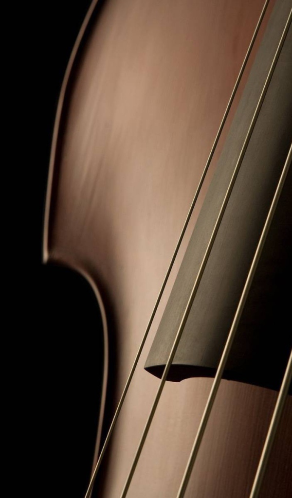 Струны деревянной скрипки