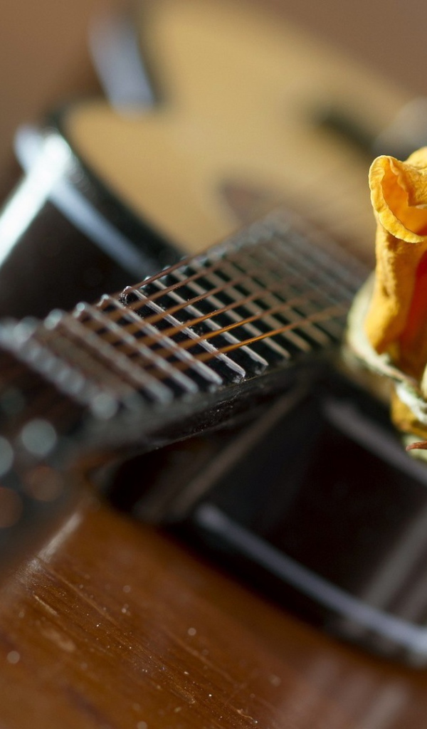 Желтая роза на гитаре