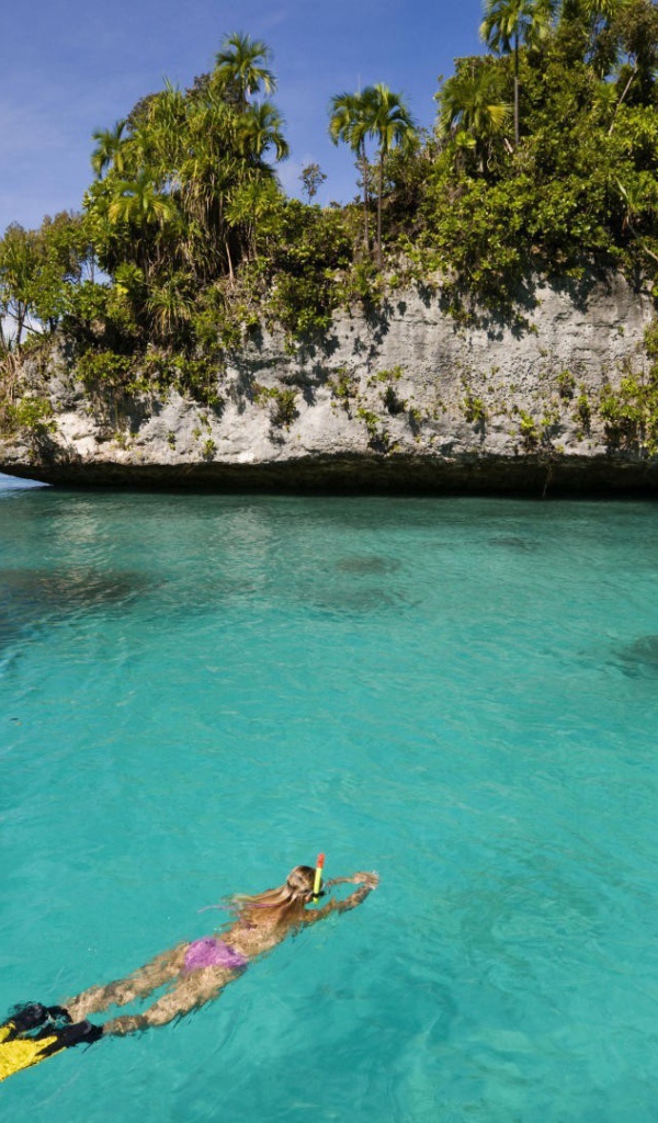 Дайвер плывет к скале
