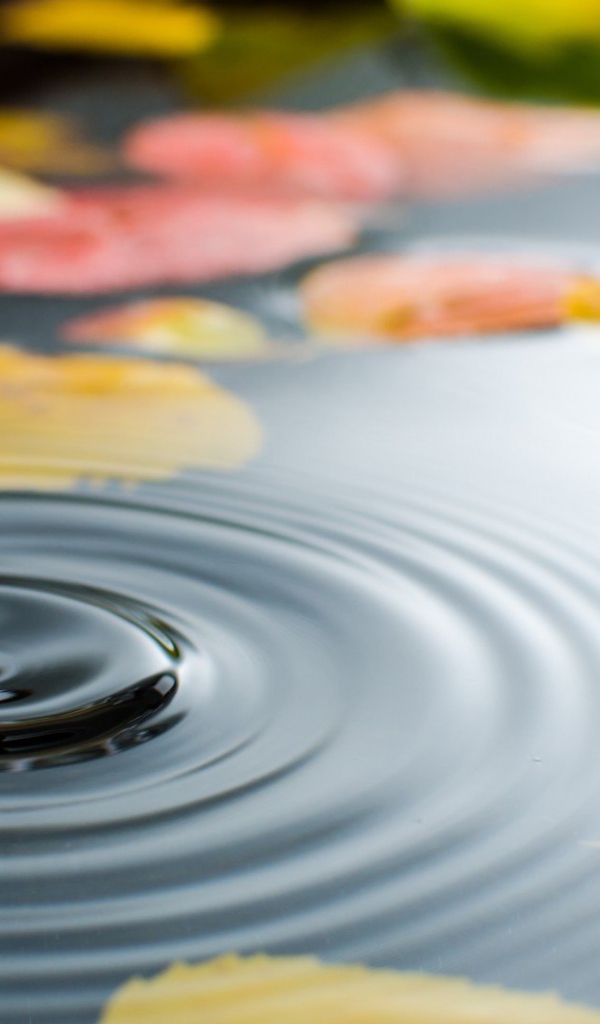 Капля воды в луже