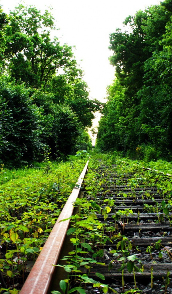 Заброшенный железнодорожный путь