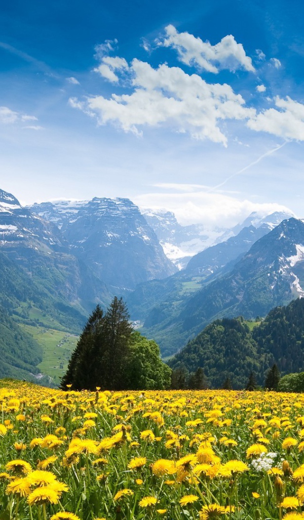 Красота украинских Карпат