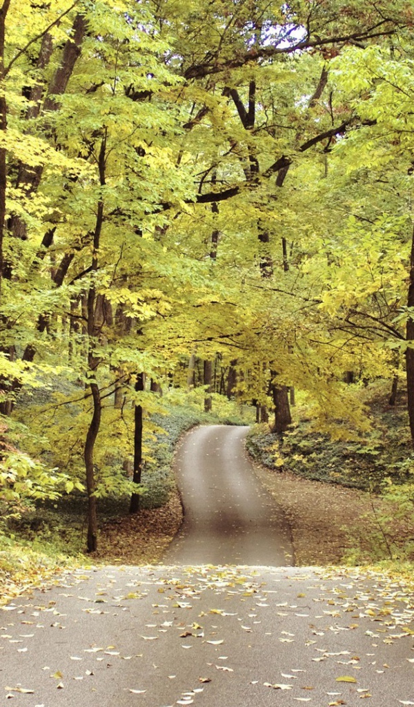 Велосипедная дорожка в осеннем парке