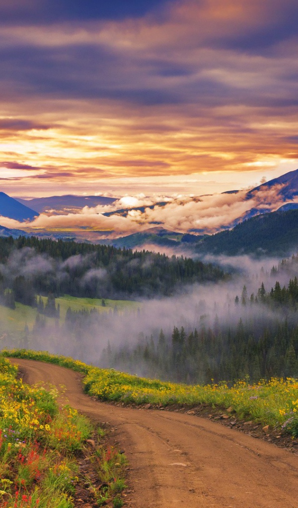 Облака опустились к вершинам деревьев