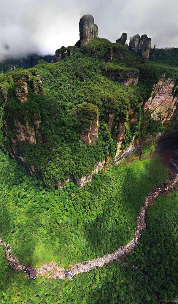 Поросший зеленью каньон