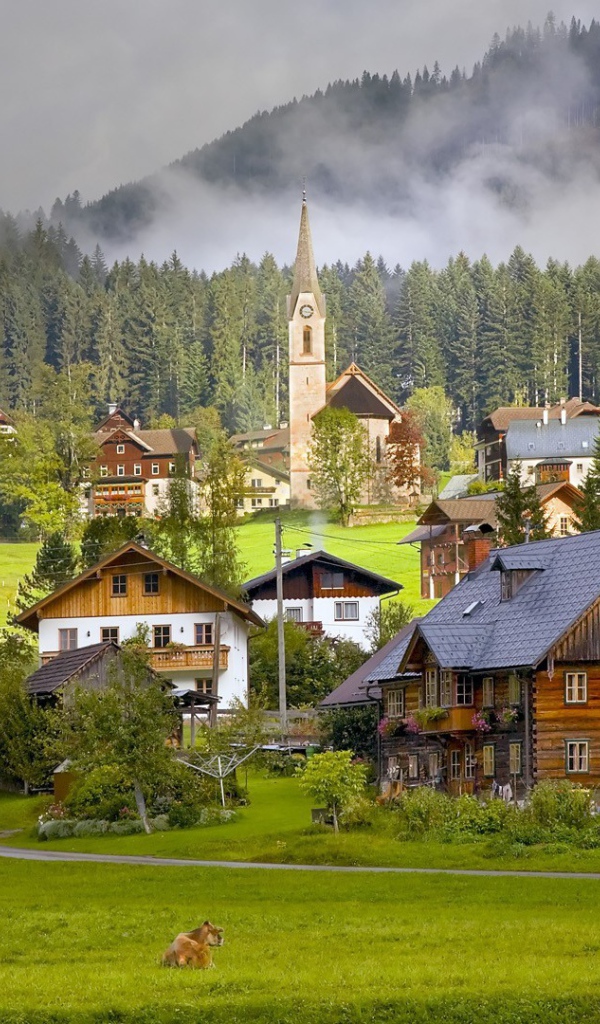 Коровы на пастбище альпийской деревни