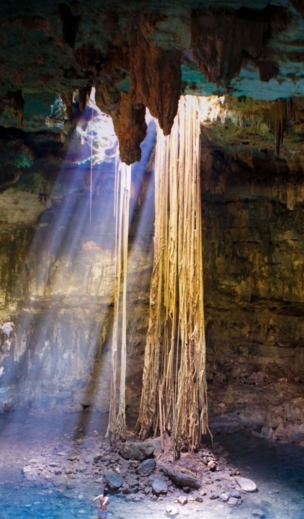 Лианы свисают с потолка пещеры