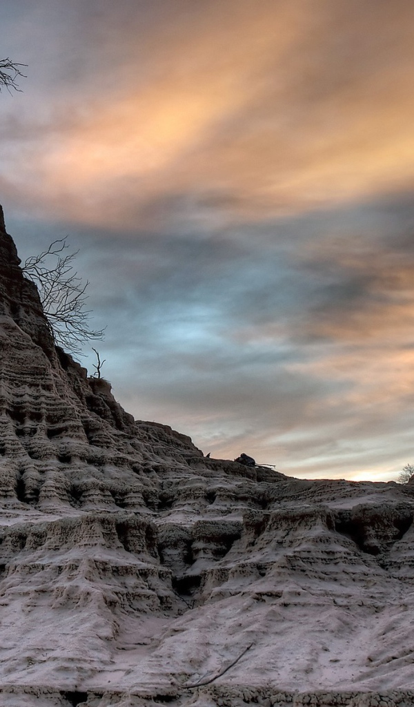 Засохшее дерево на вершине мертвой скалы