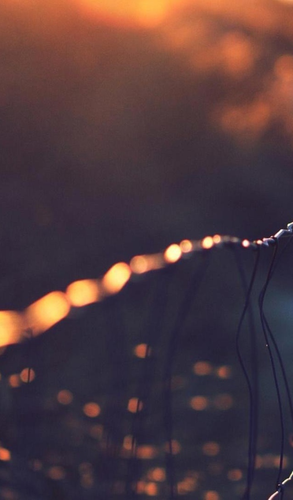 Капли росы на сетчатом заборе