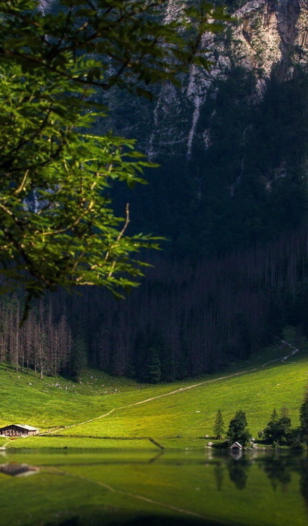 Ферма у подножия большой горы