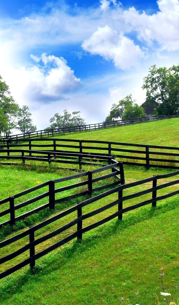 Заборы на границах участков