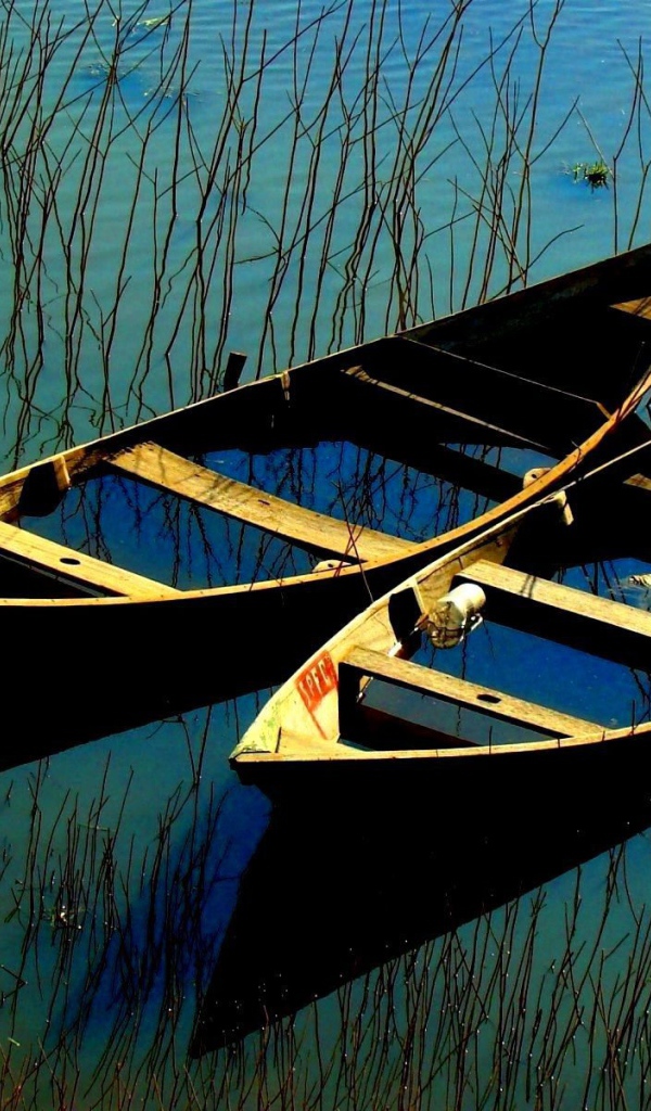 Затопленные лодки в зарослях