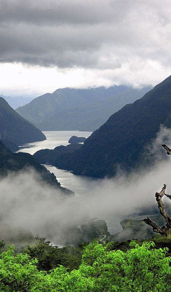 Туман стелется среди холмов