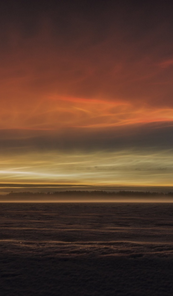 Туман над землей перед рассветом