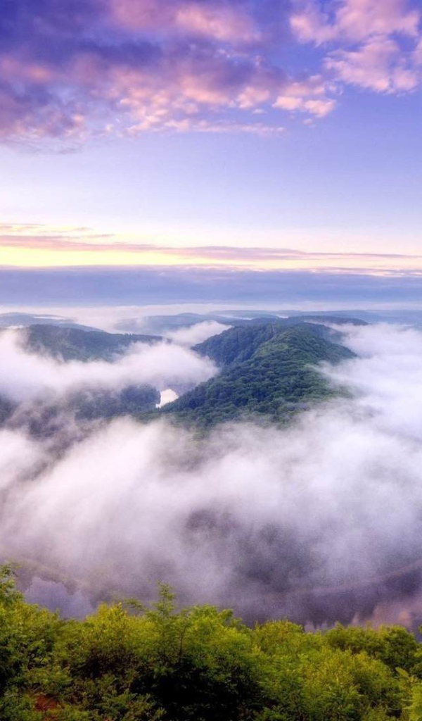 Туман над покрытыми густым лесом горами