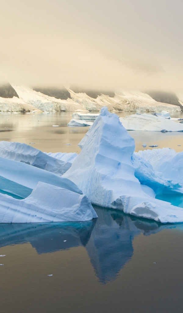 Обломки голубого льда в воде