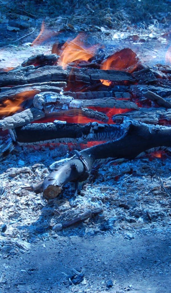 Сизые угли костра