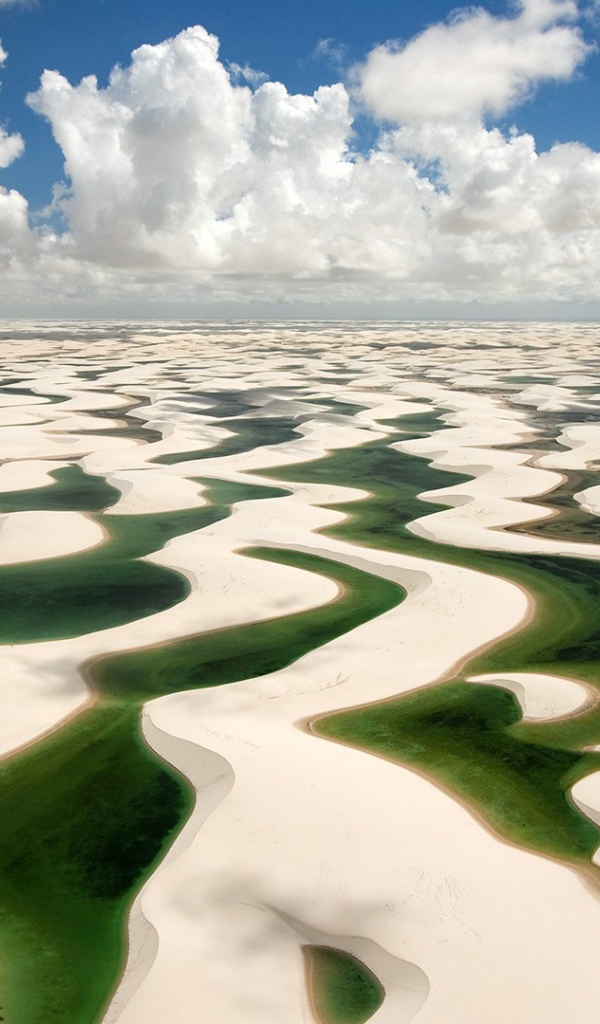 Зеленая вода на белом песке