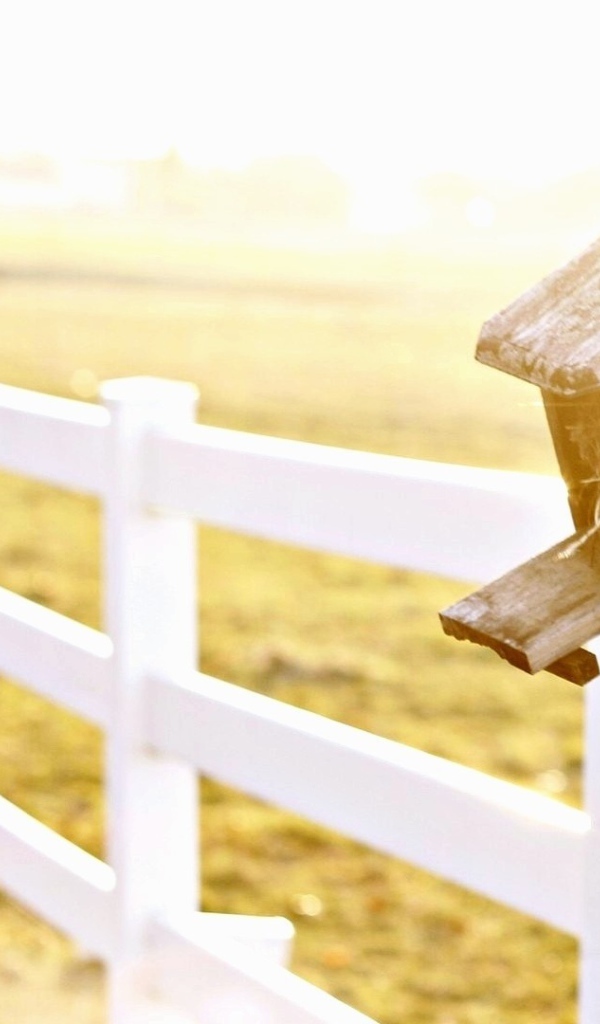 Домик для птиц у фермерского забора