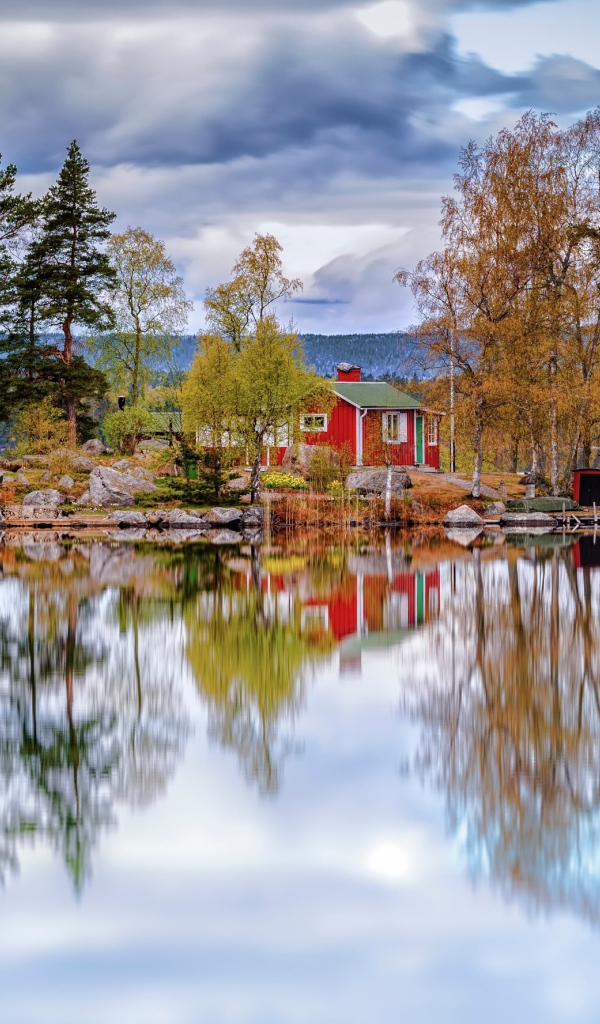 Жизнь на острове посреди озера