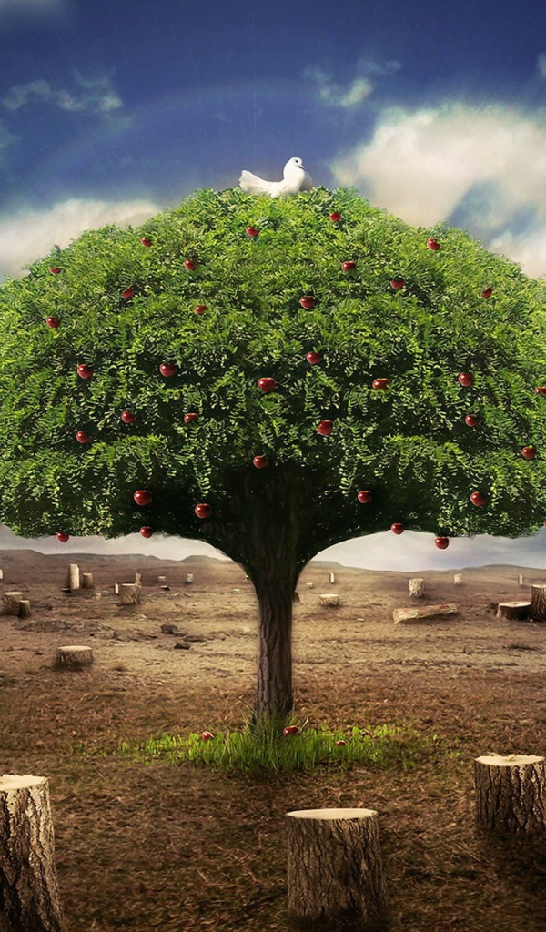 Живое дерево среди пеньков