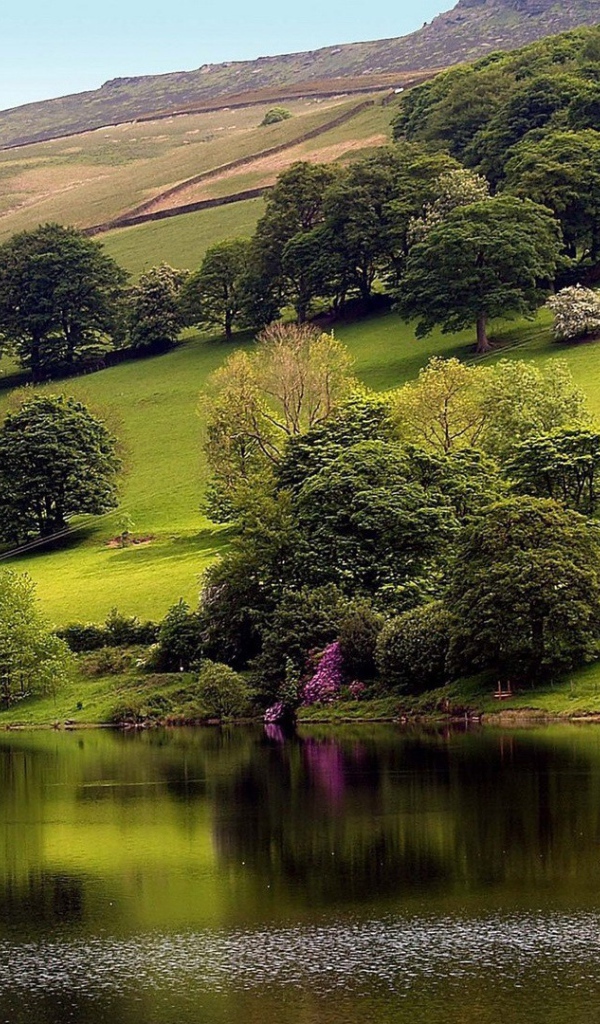 Усадьба на склоне горы