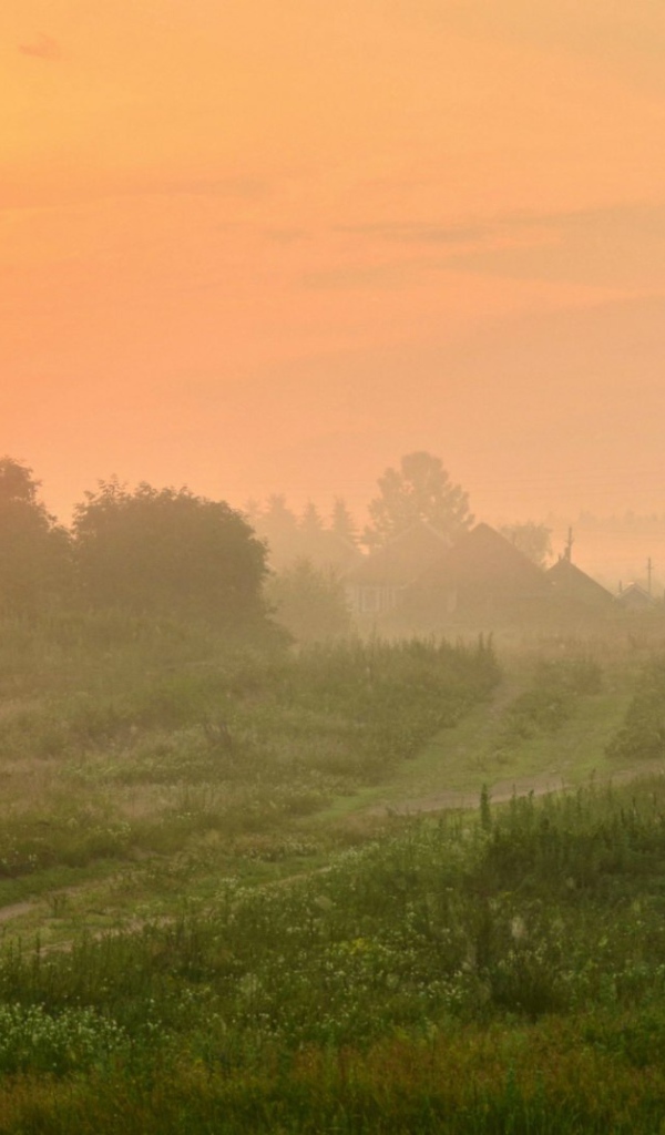 Туманный рассвет в деревне