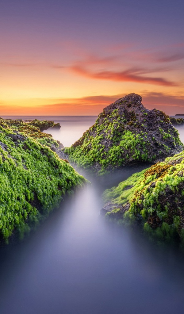 Поросшие мхом скалы в тумане