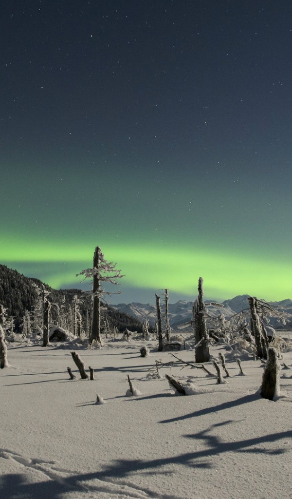 Северное сияние над снежной пустыней