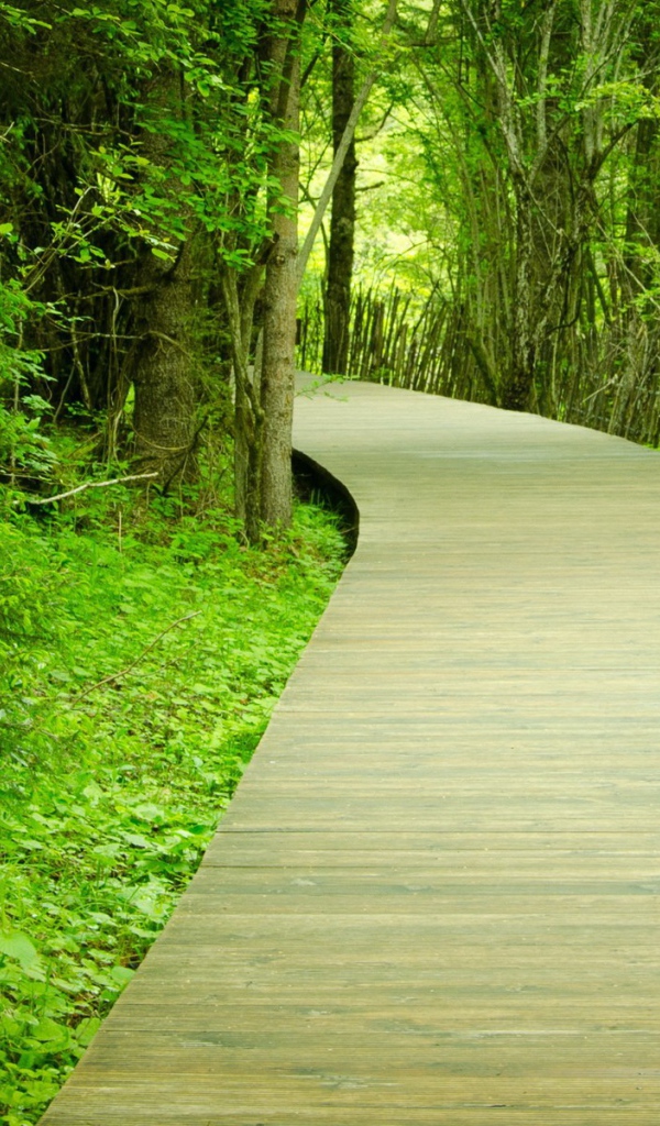 Паркетная тропинка в саду