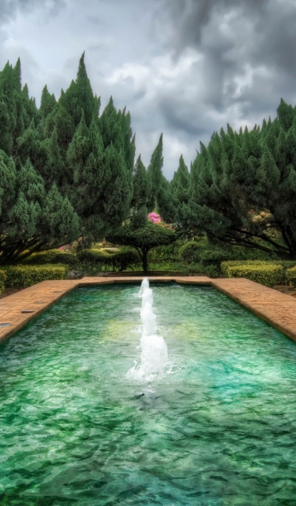 Пруд с фонтанами в саду