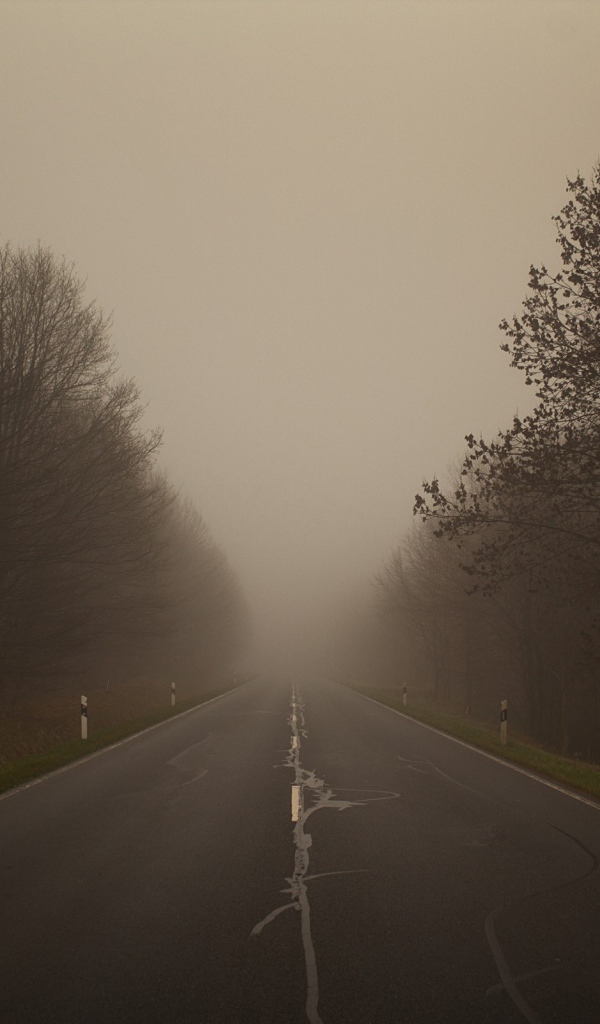 Плохая видимость на дороге