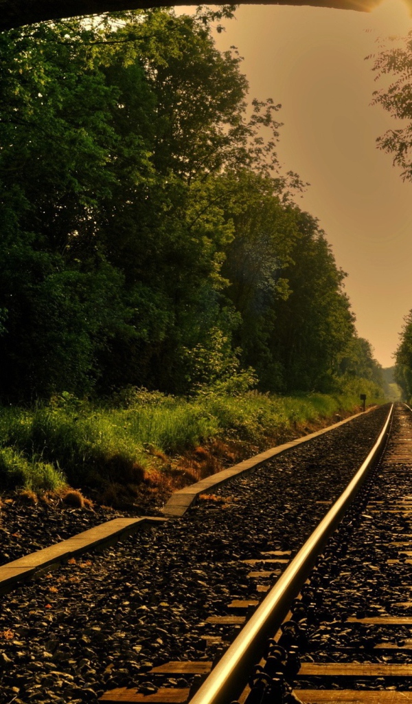 Железная дорога выходит из тоннеля